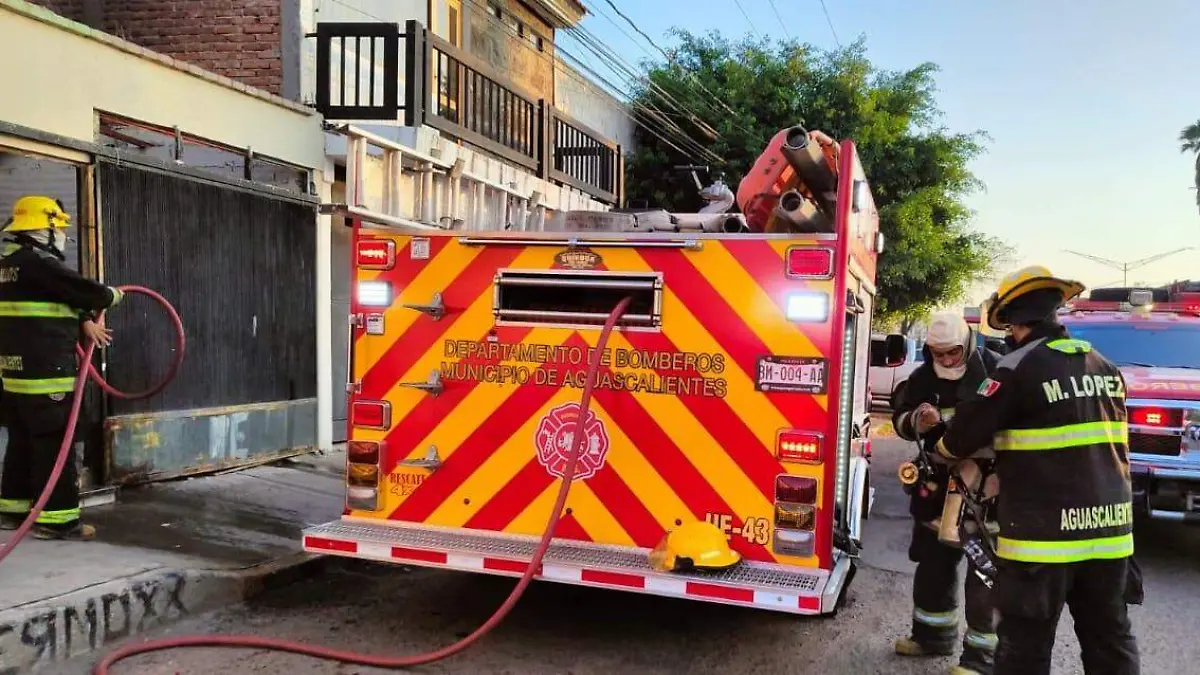 WhatsApp Image 2023-09-05 at 1.03.17 PM