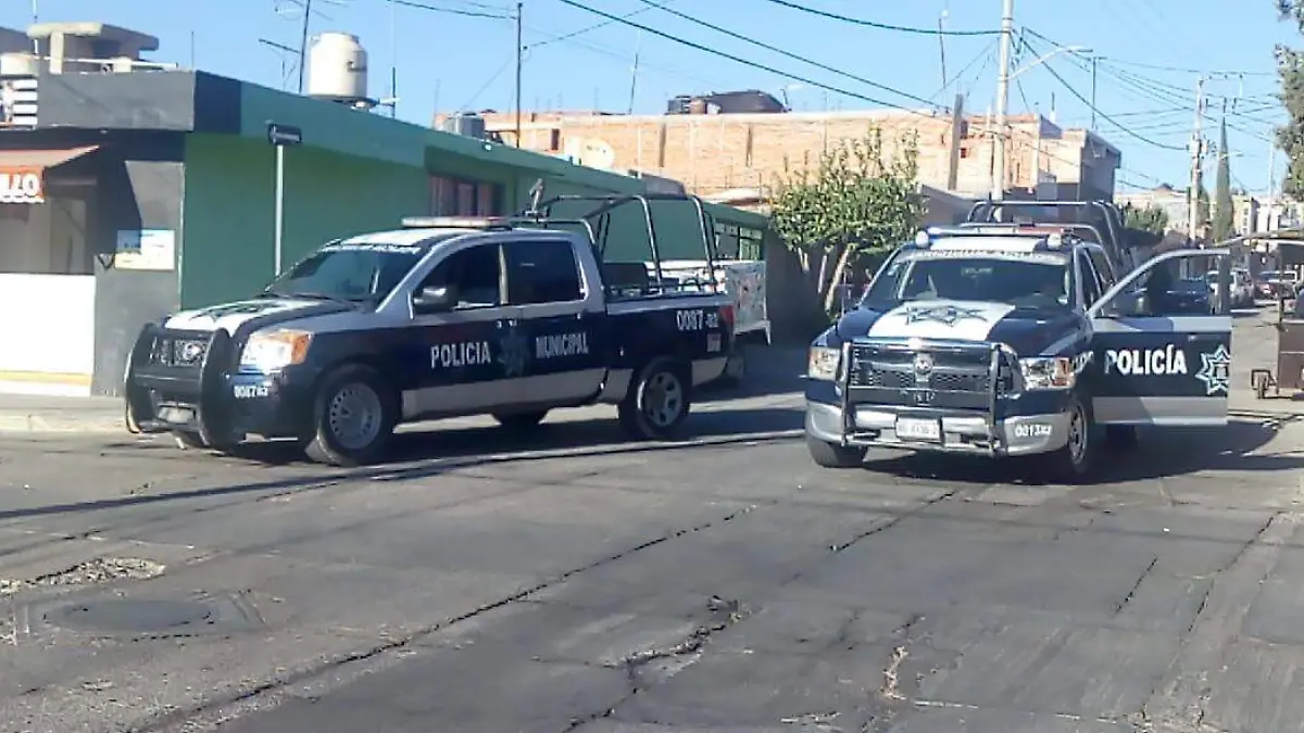 WhatsApp Image 2020-04-15 at 23.00.24