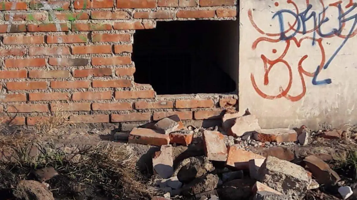 WhatsApp Image 2019-05-12 at 15.48.53