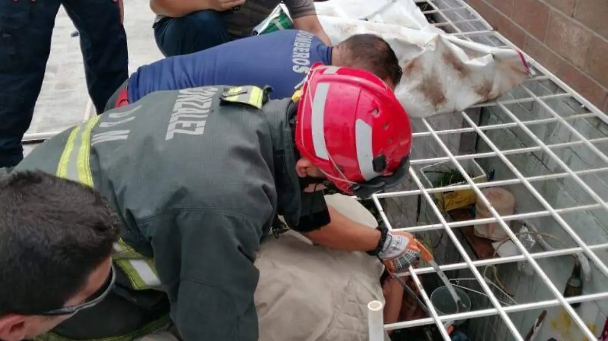 WhatsApp Image 2019-08-27 at 14.25.39