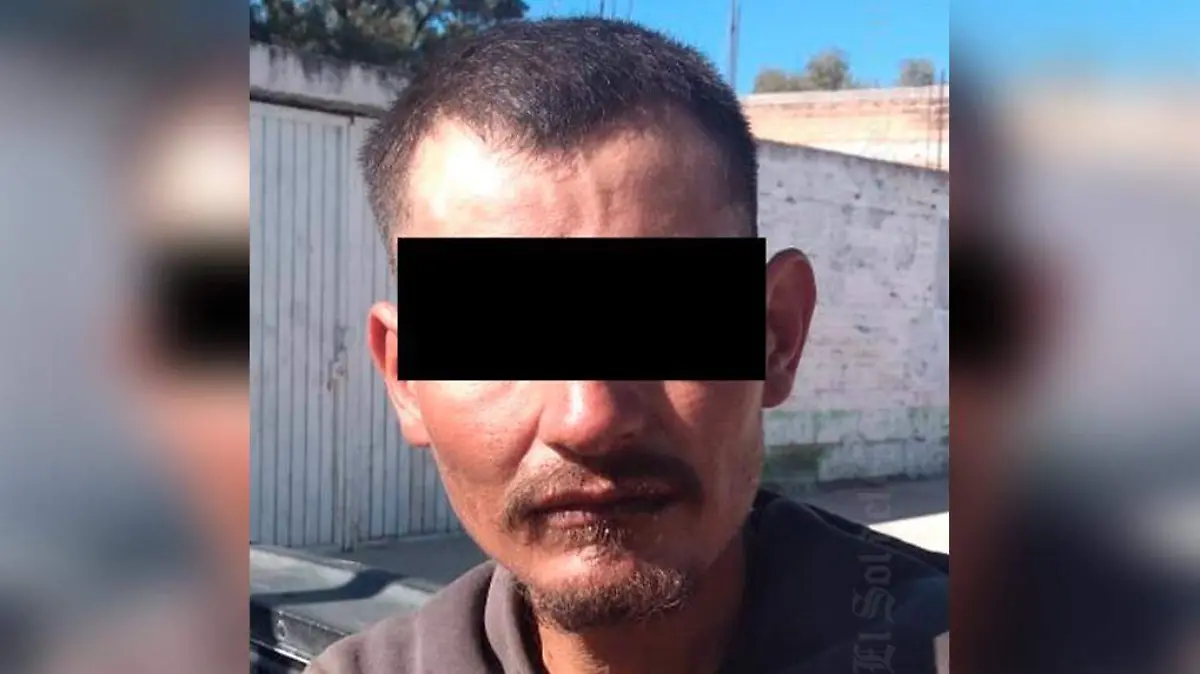 presunto ladron domiciliario