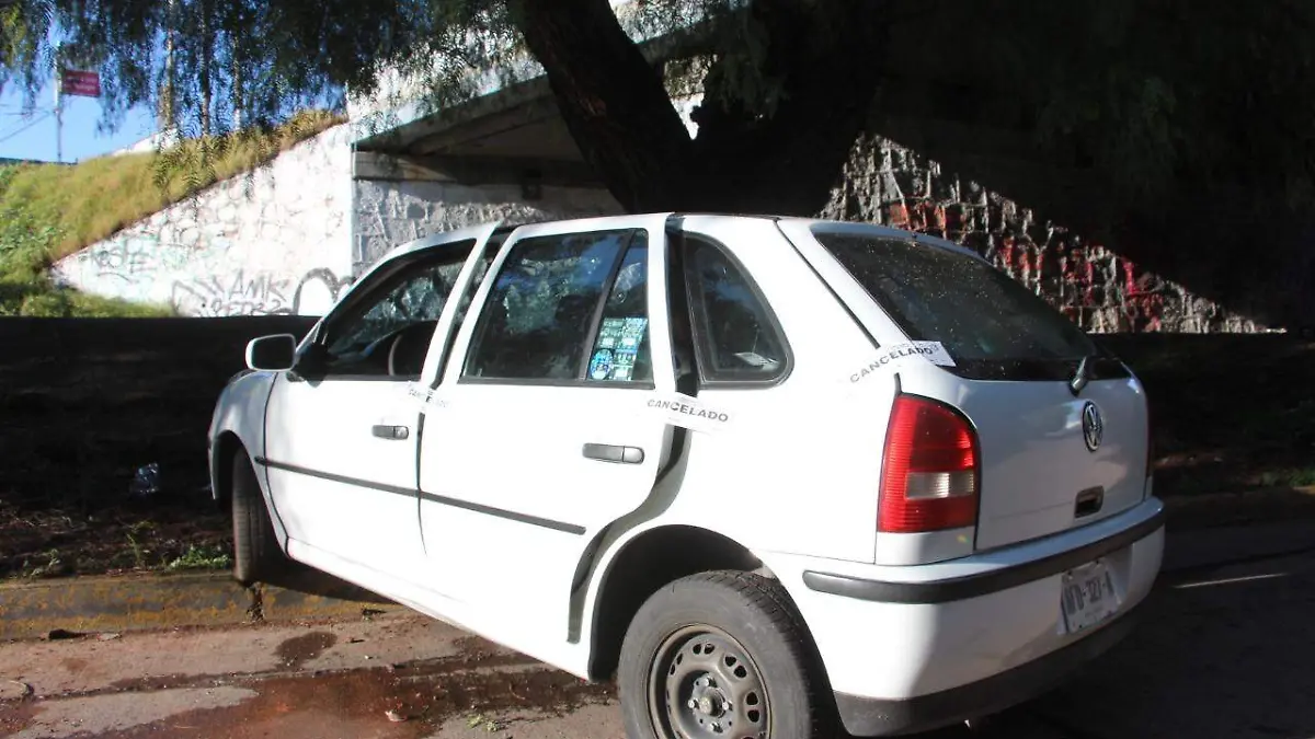 Choque contra árbol 3