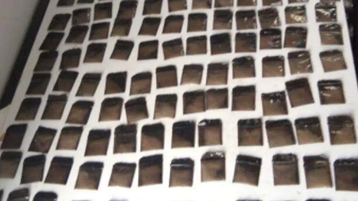 presunta droga incautada