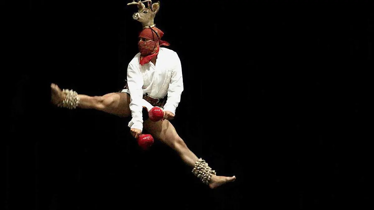 Danza del venado