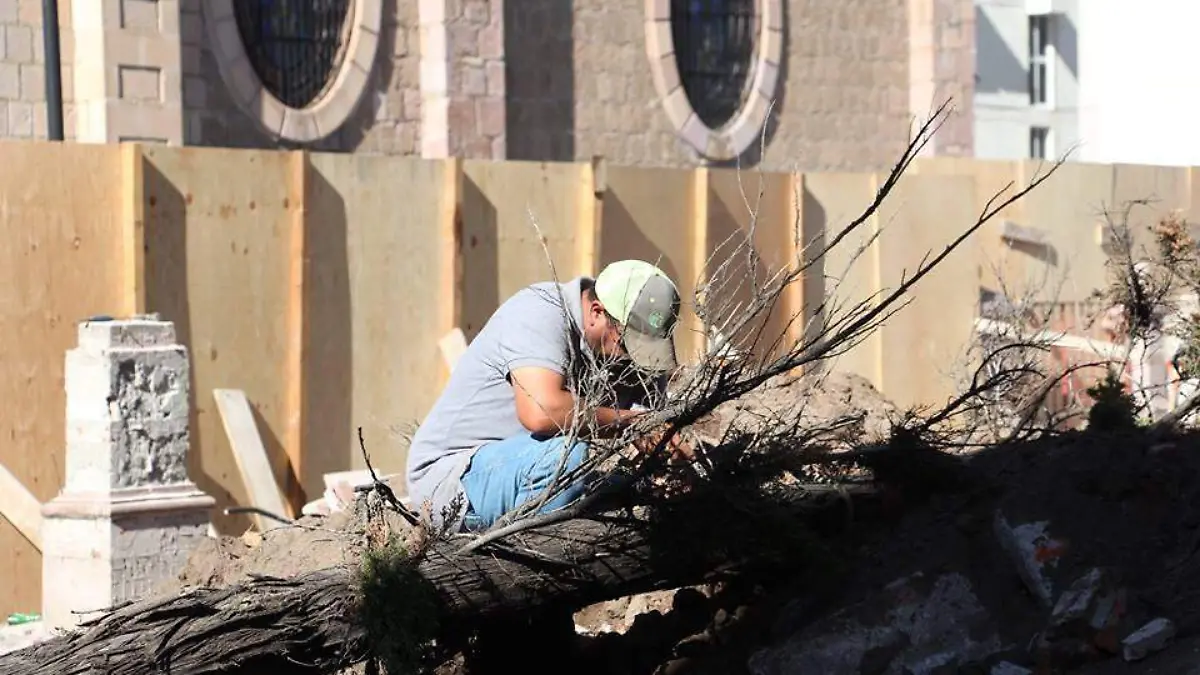 WhatsApp Image 2020-03-30 at 14.26.32