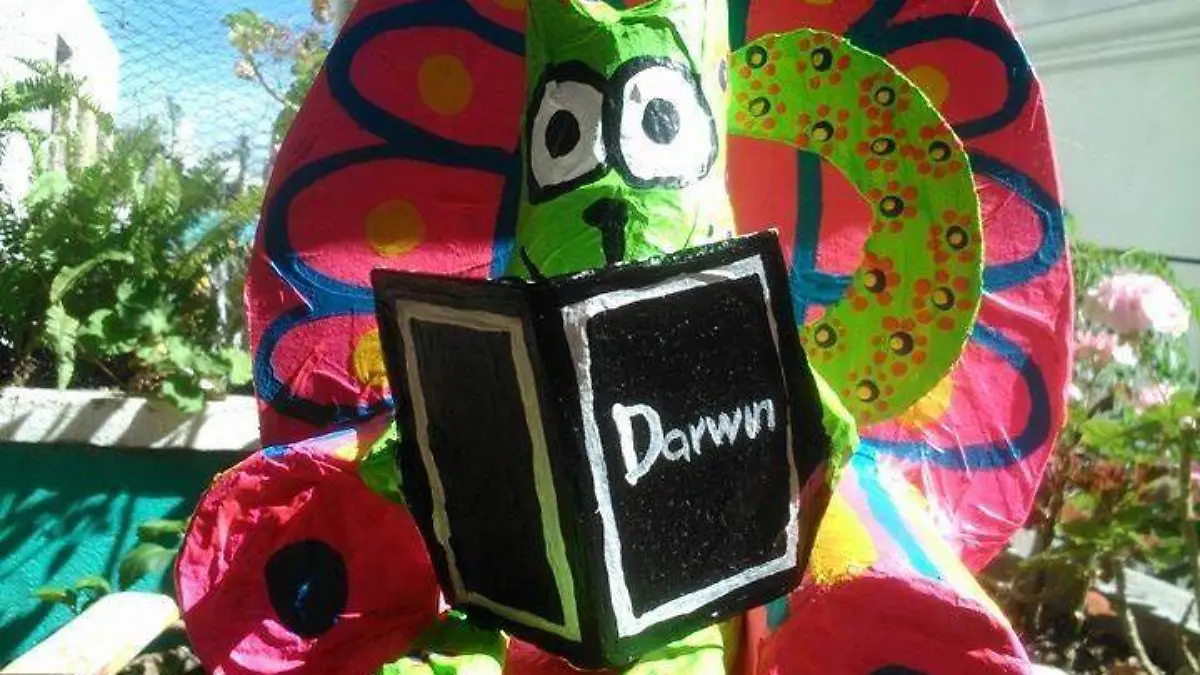 Sillón hecho de reciclaje 2