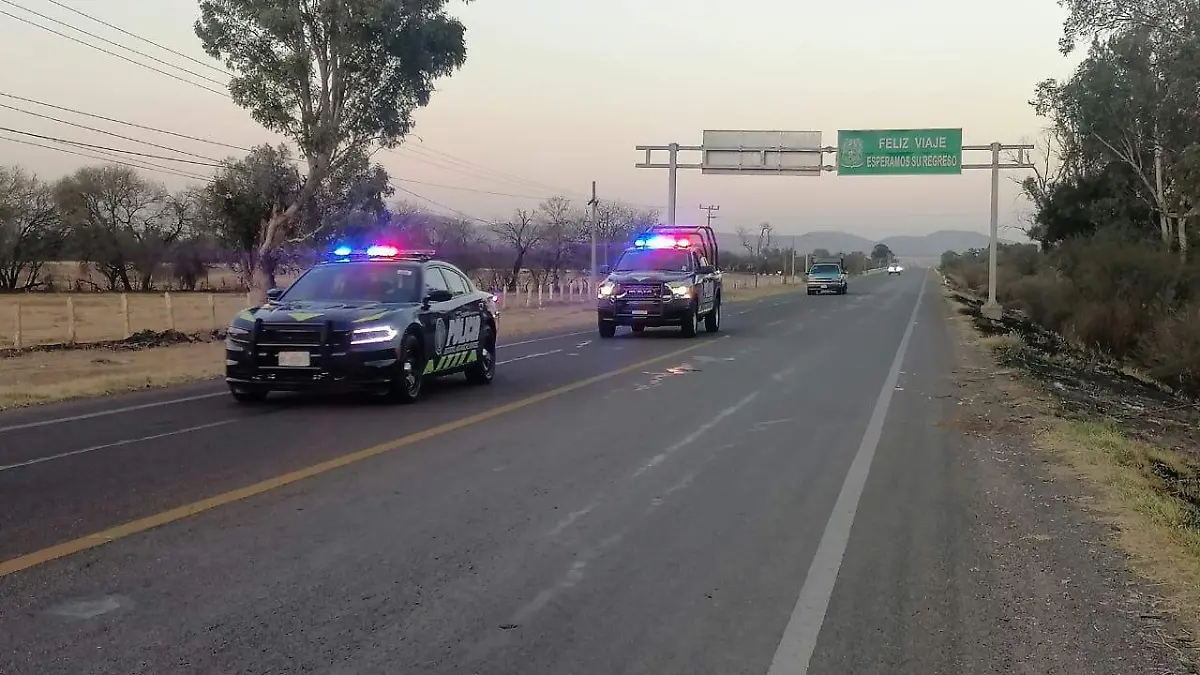 WhatsApp Image 2023-02-19 at 19.16.14