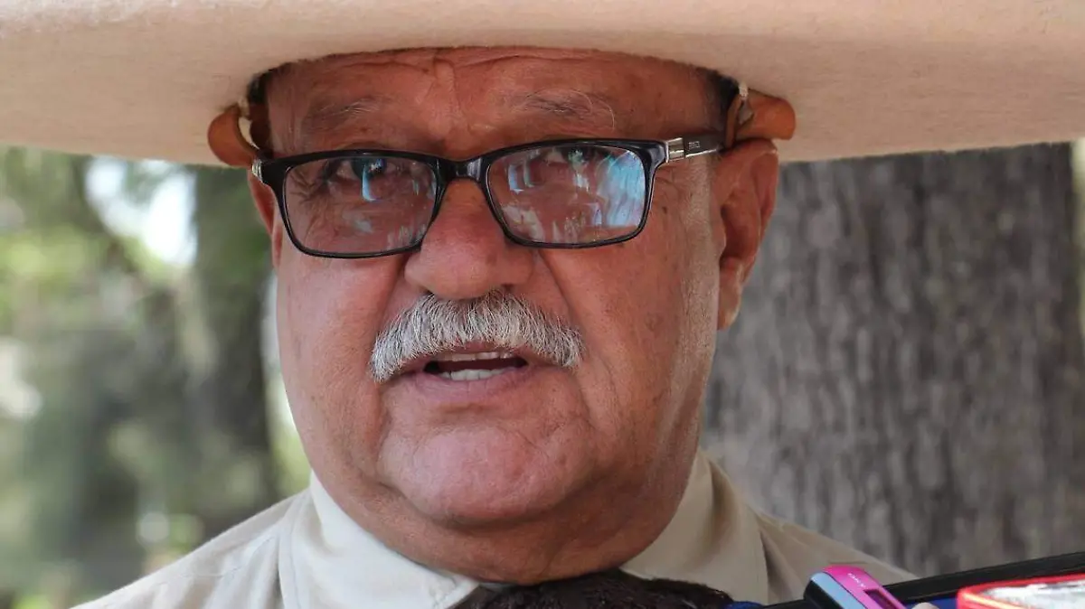 WhatsApp Image 2019-02-06 at 23.49.56