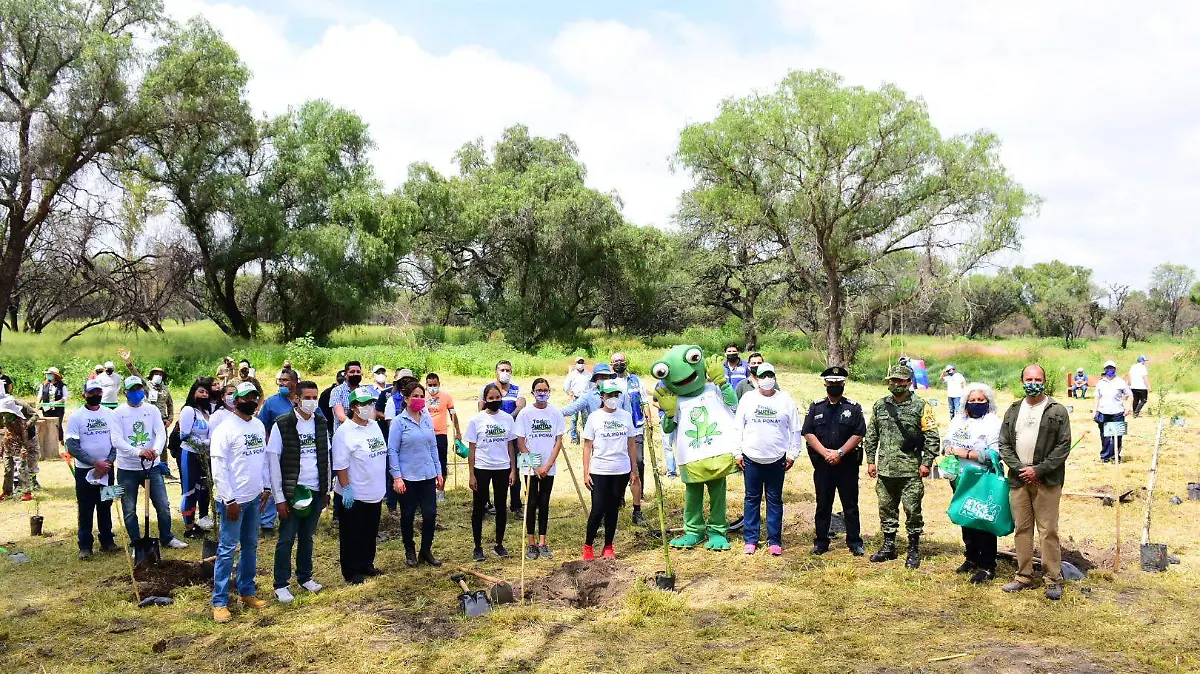 Reforestación Mezquitera La Pona