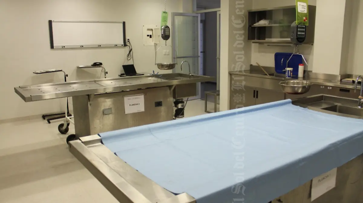 Forense 2