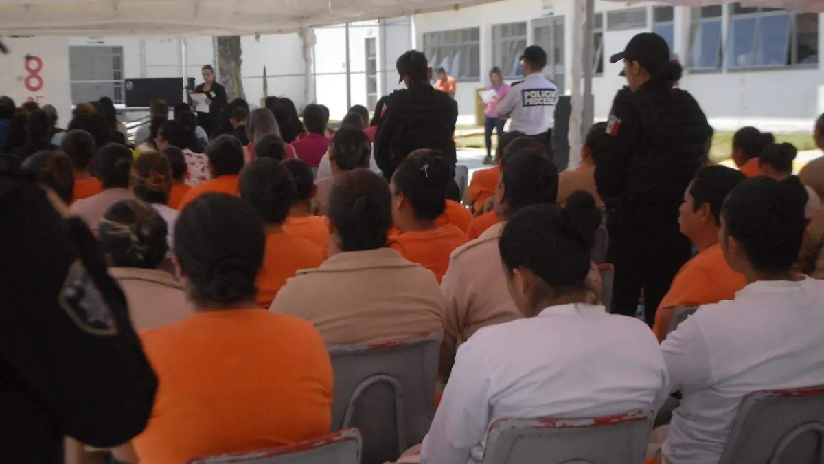 WhatsApp Image 2019-12-23 at 15.30.10