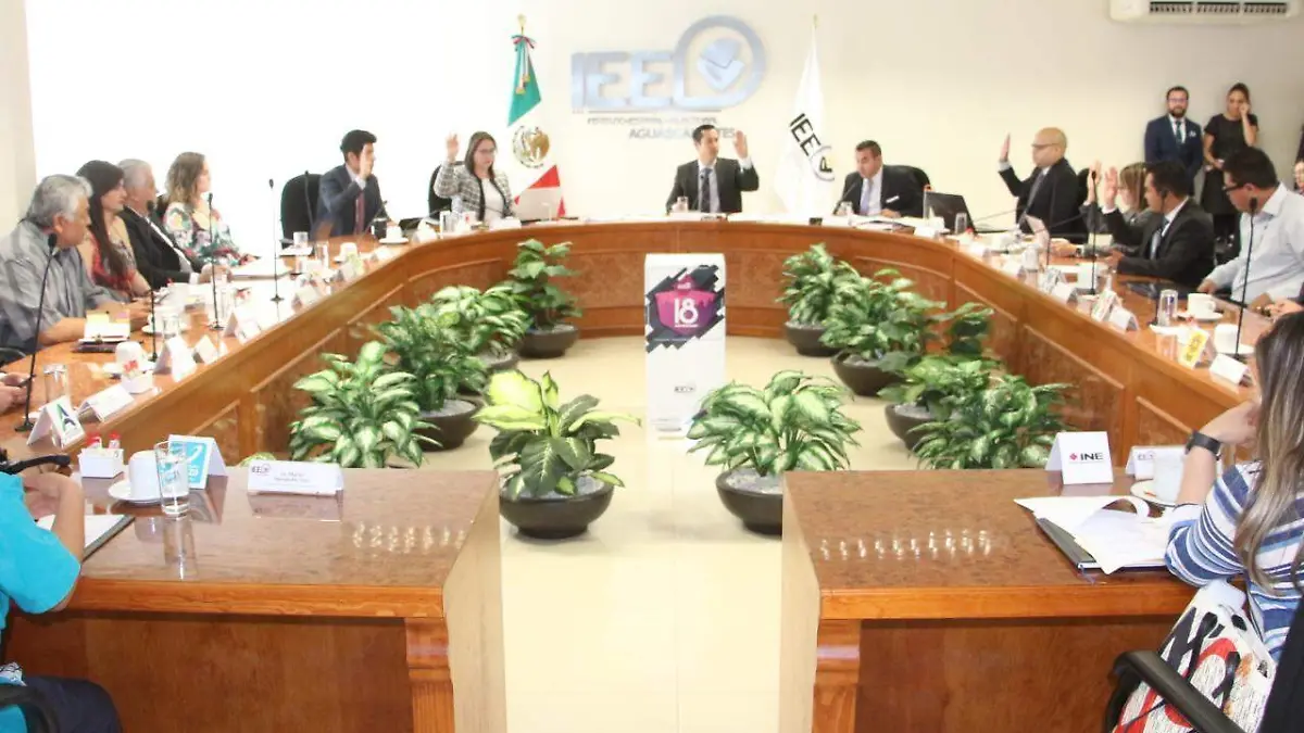 IEE Votaciones