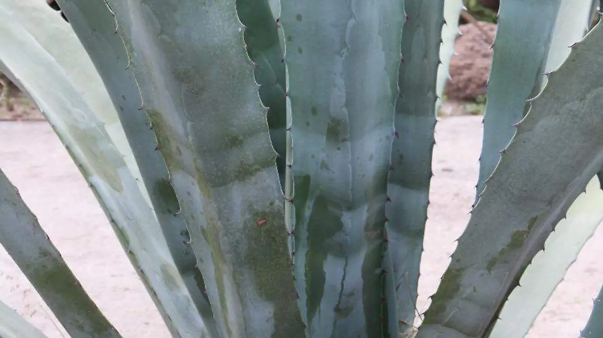 WhatsApp Image 2019-02-18 at 00.11.46