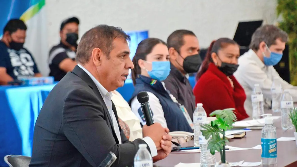 organizacion social contra la violencia domestica