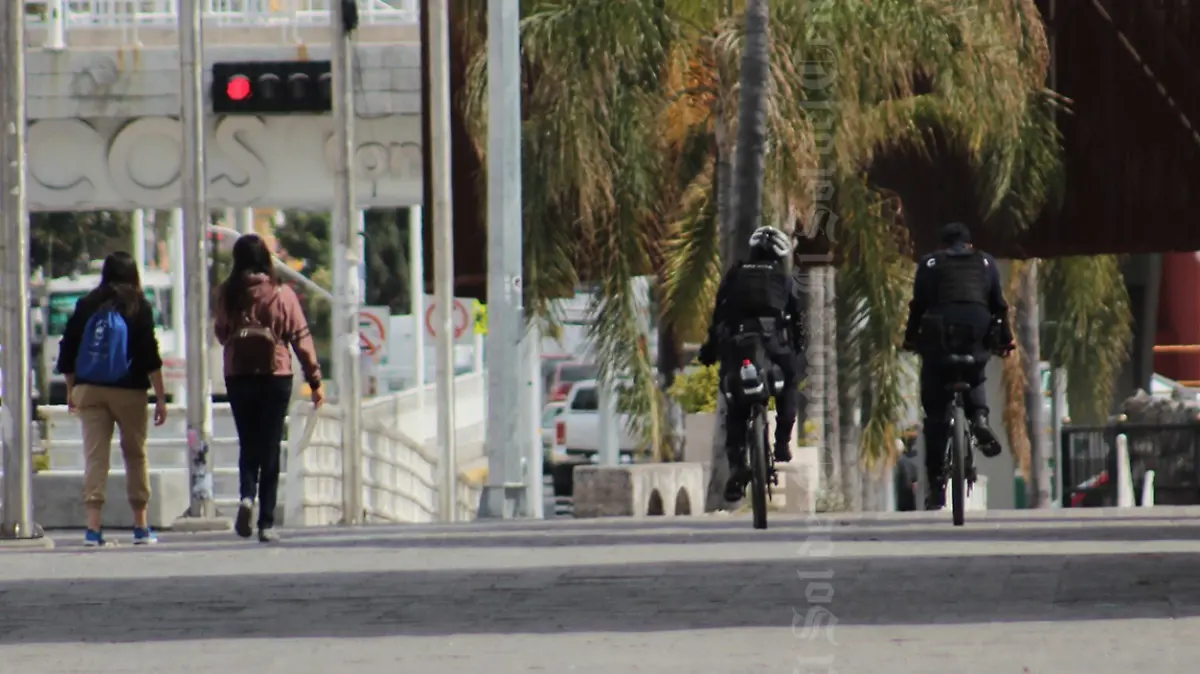 Captura de Pantalla 2020-01-14 a la(s) 16.13.06