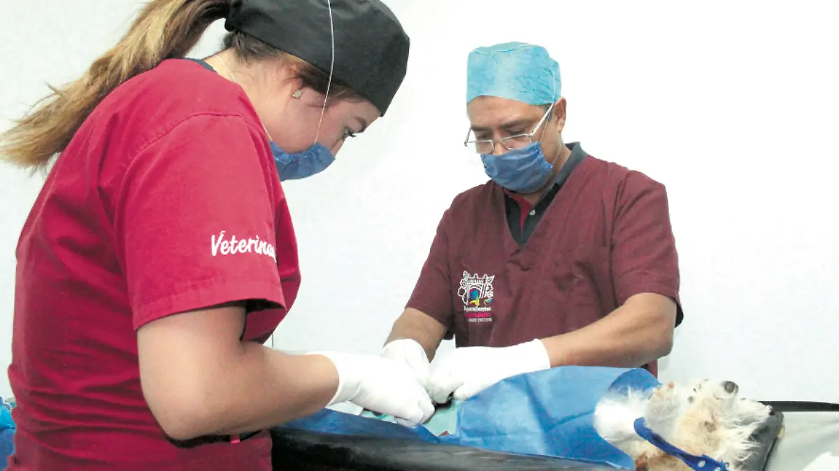 MPIO ESTERILIZACION_1