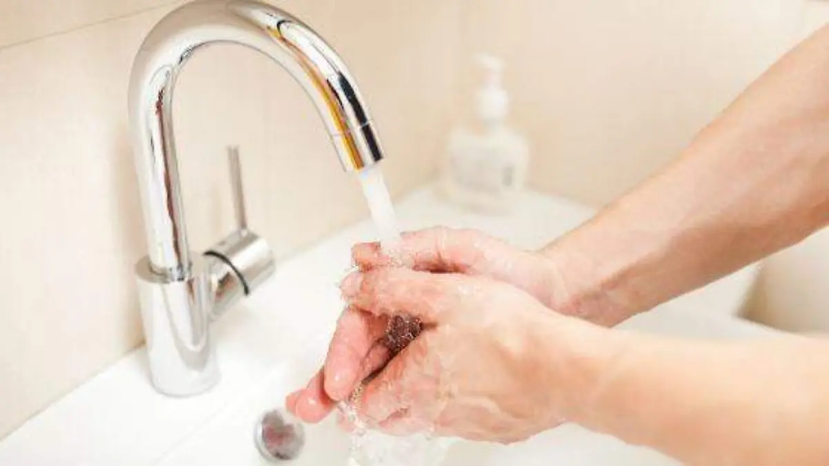 WhatsApp Image 2019-05-06 at 15.46.51