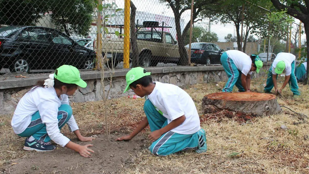 WhatsApp Image 2019-06-05 at 19.42.54