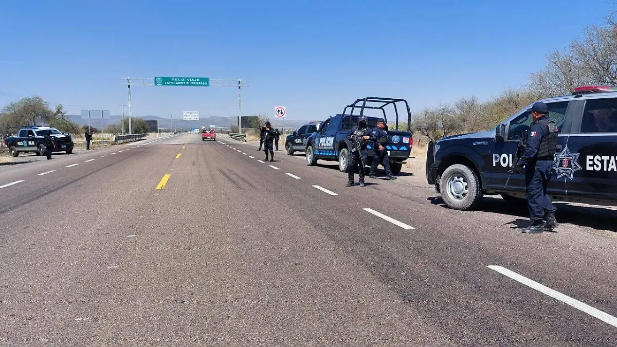 WhatsApp Image 2023-04-24 at 14.22.00