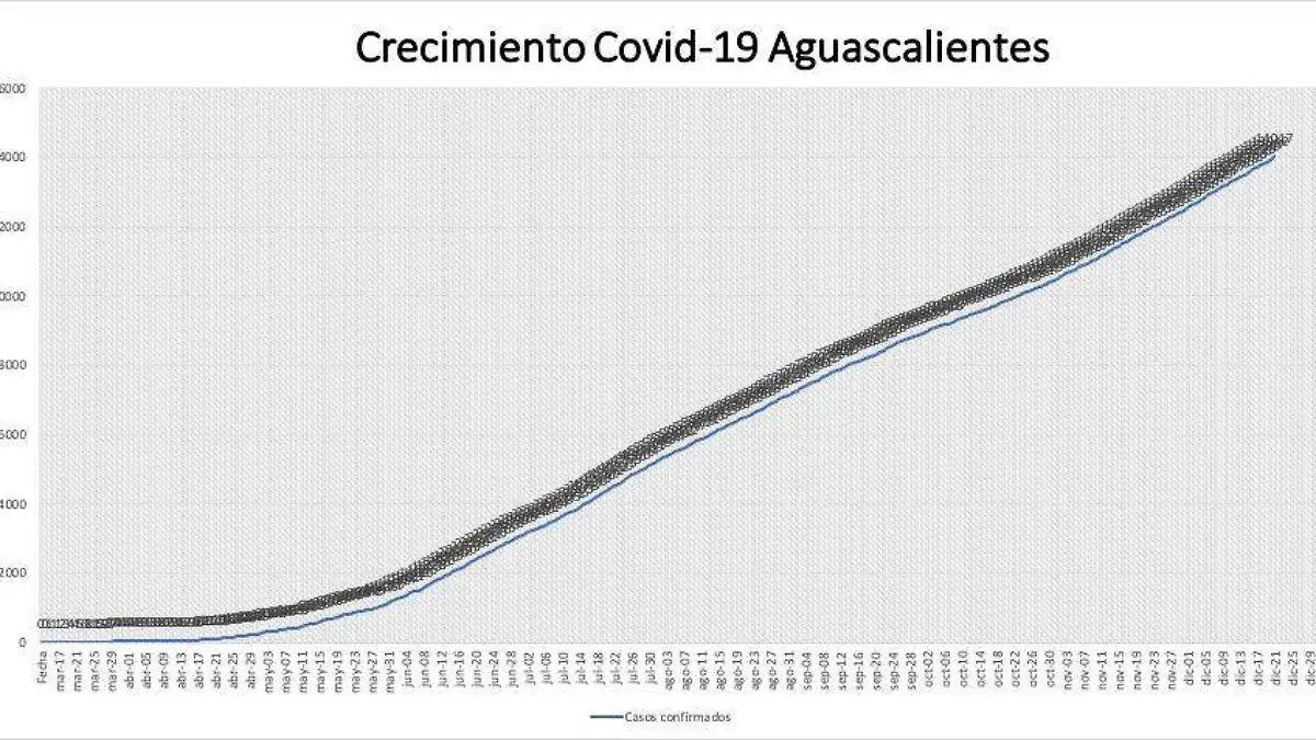 WhatsApp Image 2020-12-21 at 15.06.35