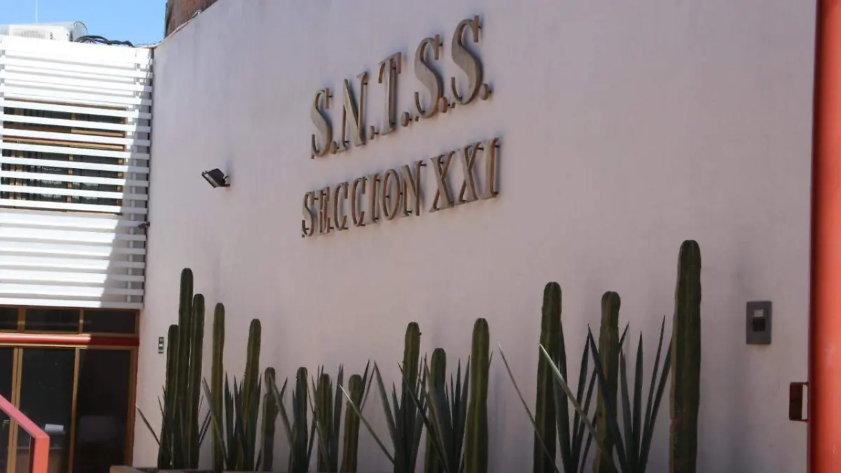 WhatsApp Image 2019-07-14 at 12.30.03