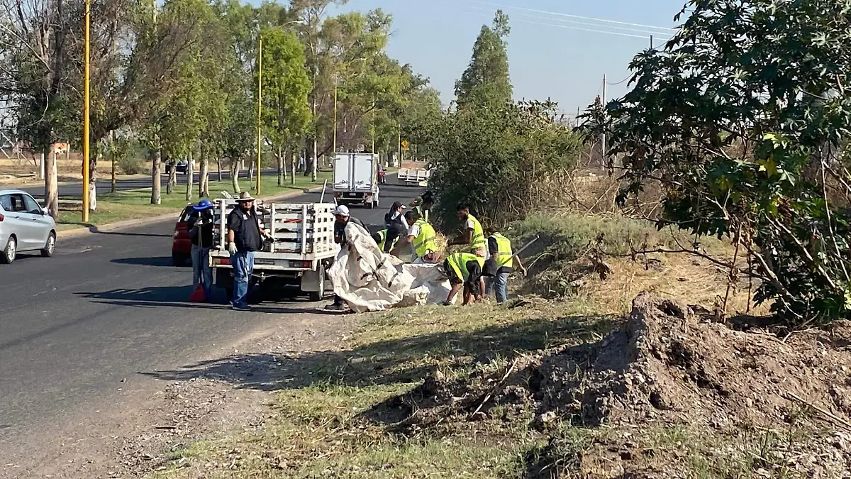 281262281_1386434238504571_1602958062134205238_n