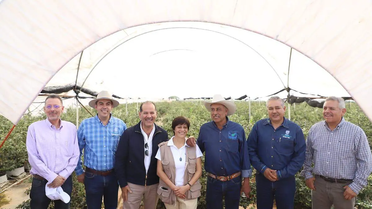 Modernizacion del riego 2