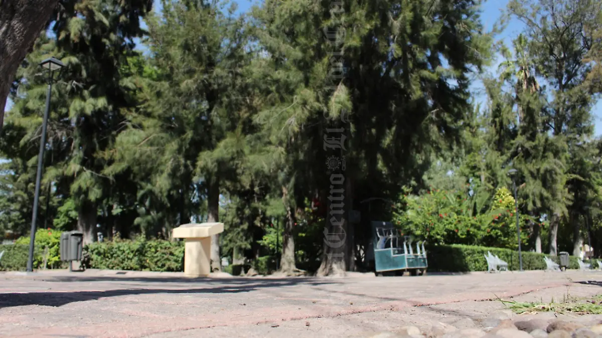 Captura de Pantalla 2019-11-11 a la(s) 16.15.09