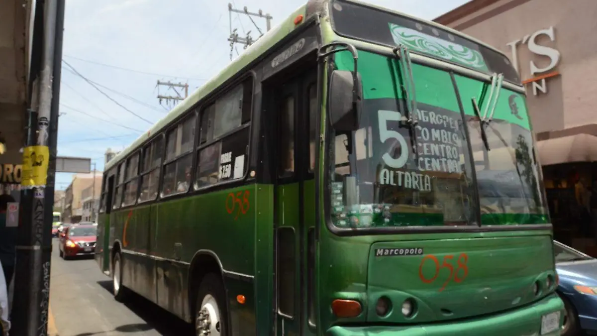 WhatsApp Image 2019-05-09 at 16.45.06