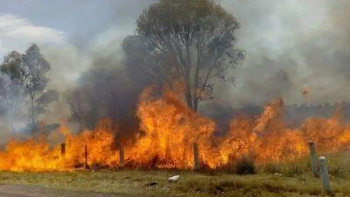 WhatsApp Image 2019-05-18 at 22.05.04 (1)