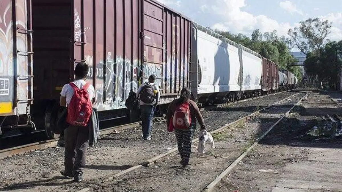 WhatsApp Image 2019-06-18 at 15.31.20