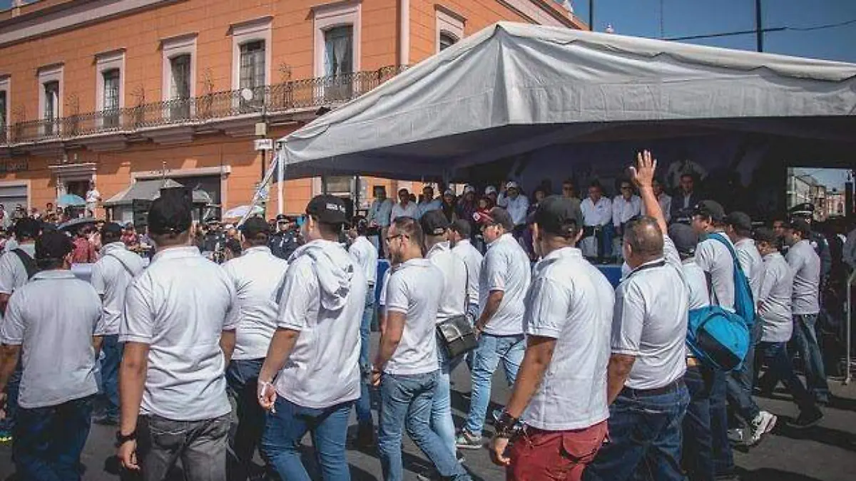 WhatsApp Image 2019-04-15 at 16.20.29 (1)