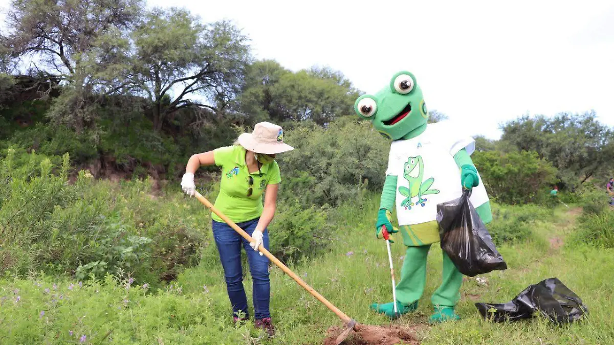 limpieza en el bosque de los cobos