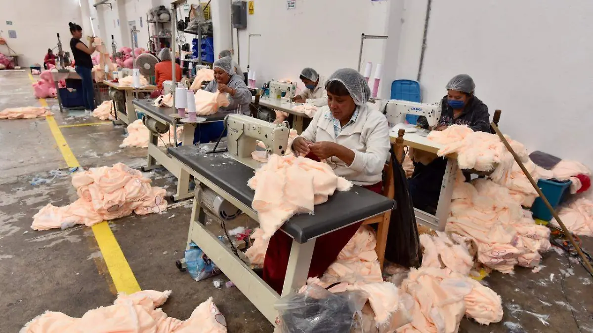 WhatsApp Image 2019-08-21 at 14.52.19