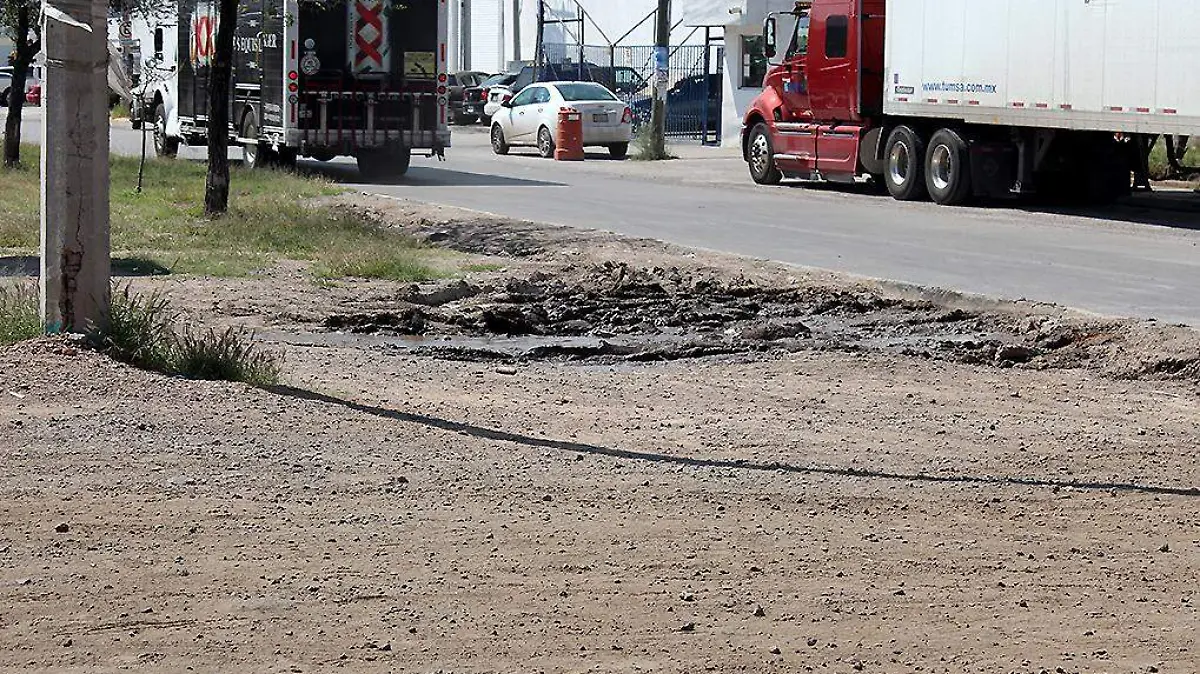 Camellón-Banqueta-Lodo-MalEstado