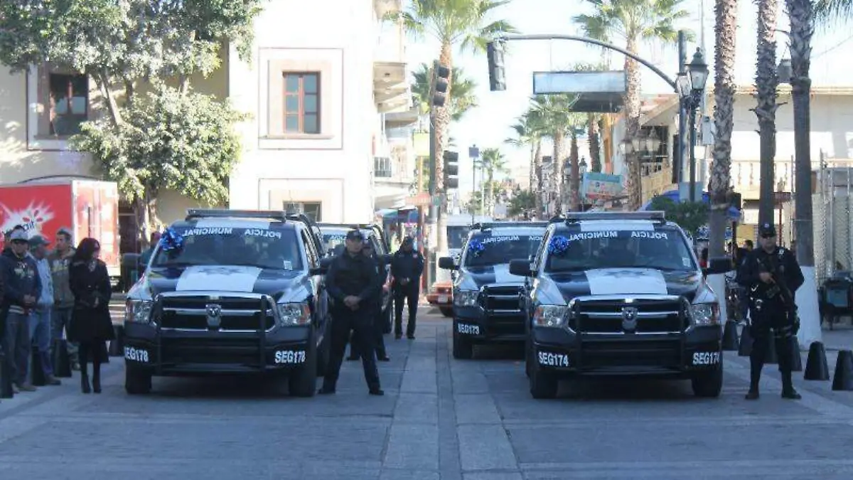 WhatsApp Image 2019-04-15 at 15.46.44