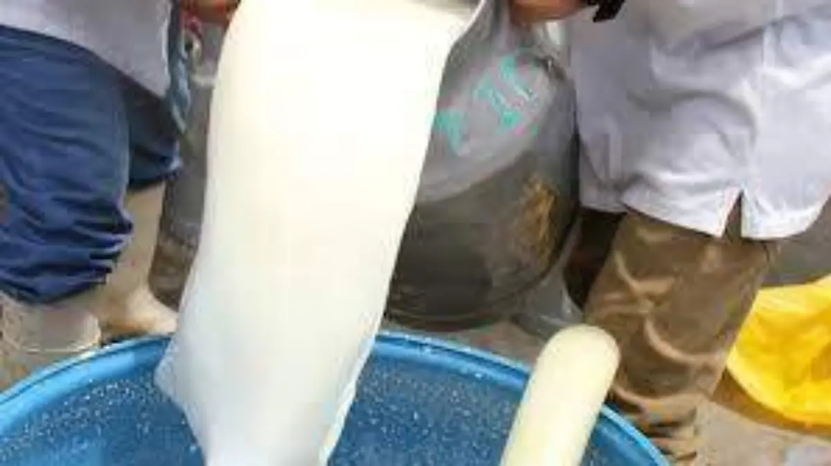 Leche 4