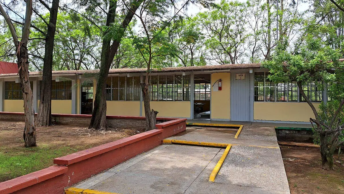 IEA