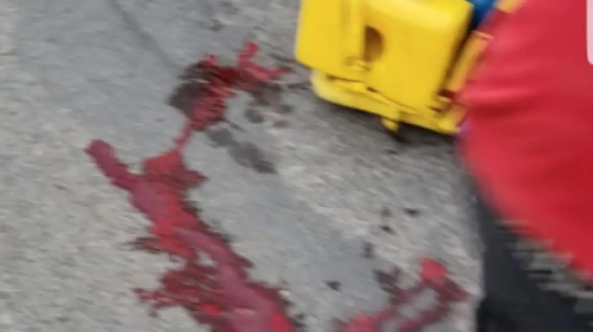 Captura de pantalla 2019-02-12 a la(s) 23.43.20