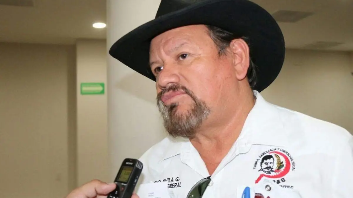 Cecilio Ávila García