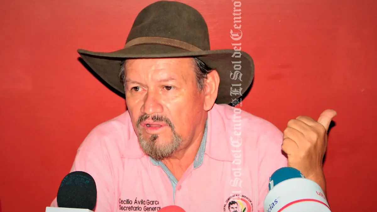 Cecilio Ávila García