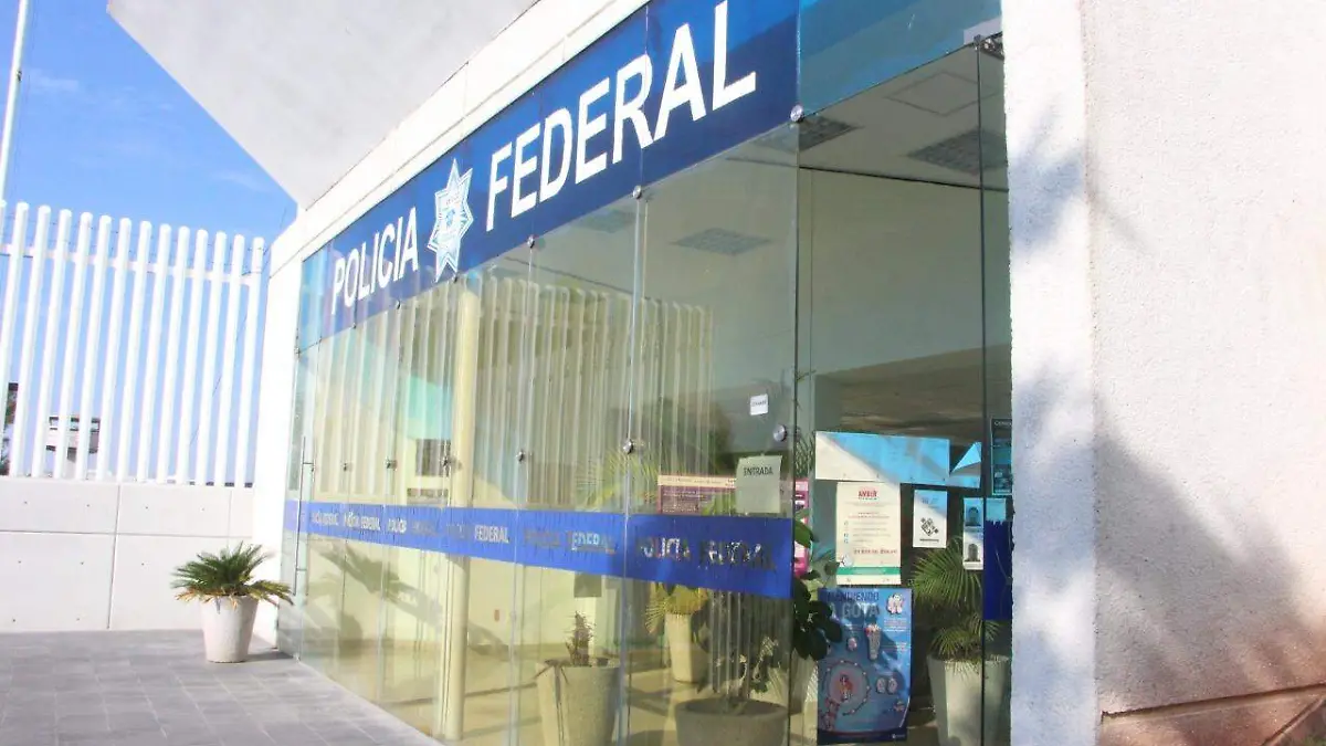 WhatsApp Image 2019-07-04 at 12.53.55