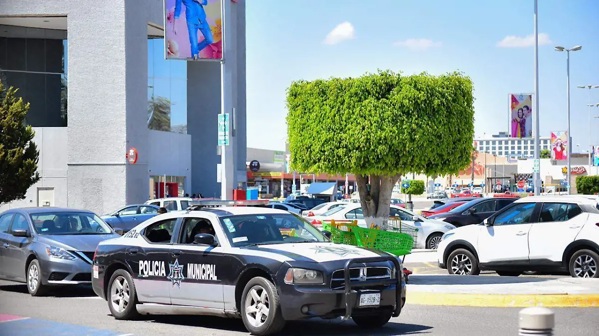 Patrulla del servicio municipal