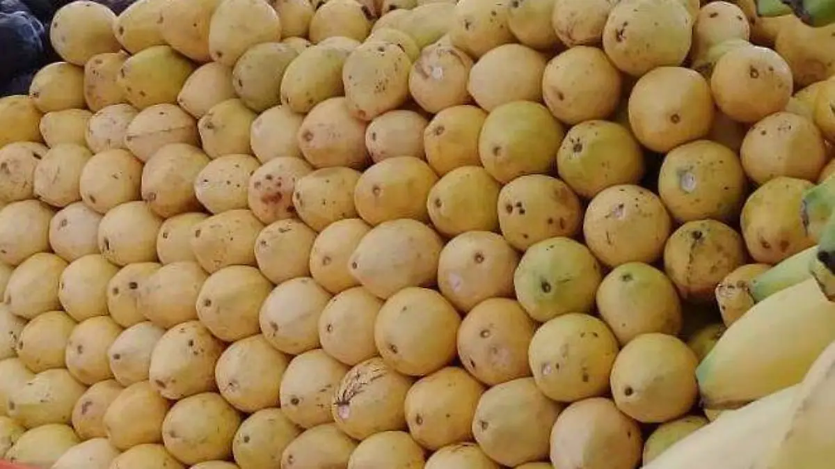 Guayabas