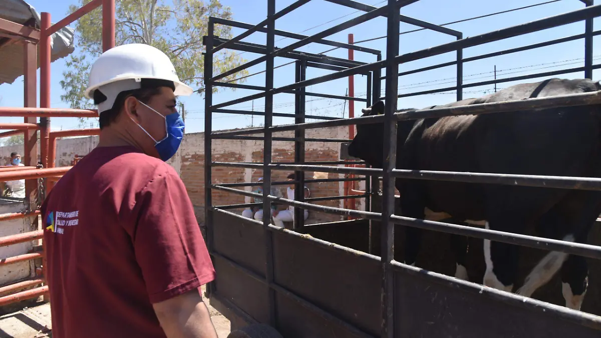 Medidas saniarias en productos cárnicos