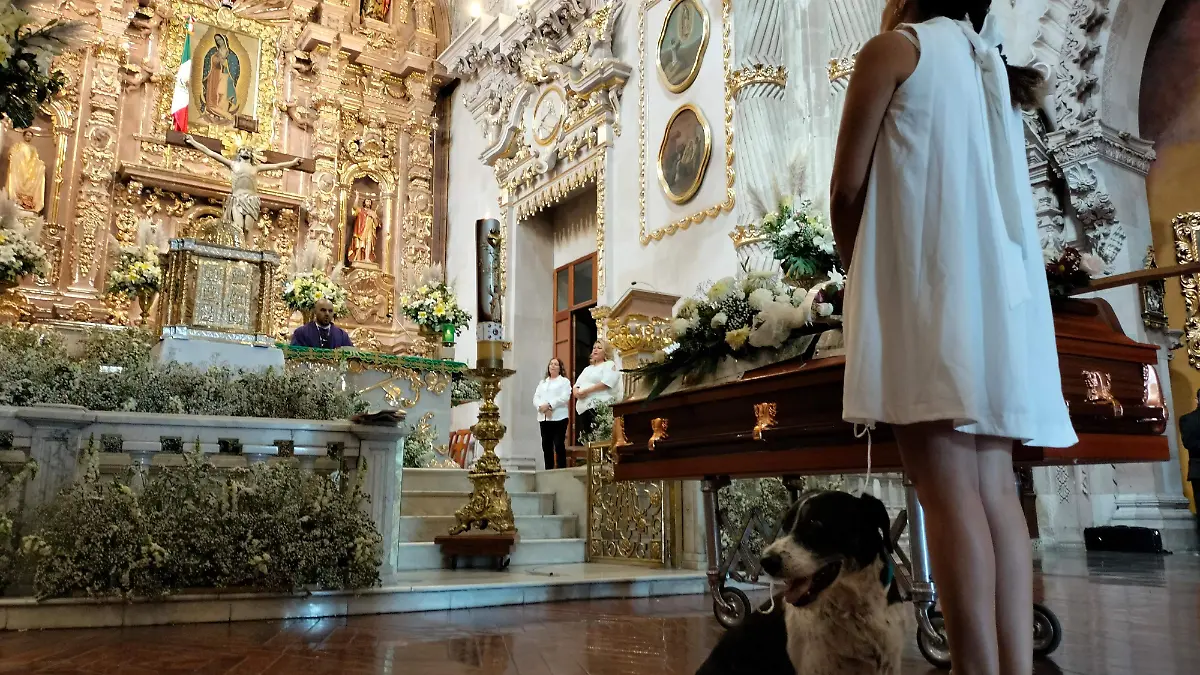 WhatsApp Image 2023-09-03 at 3.18.17 PM (1)