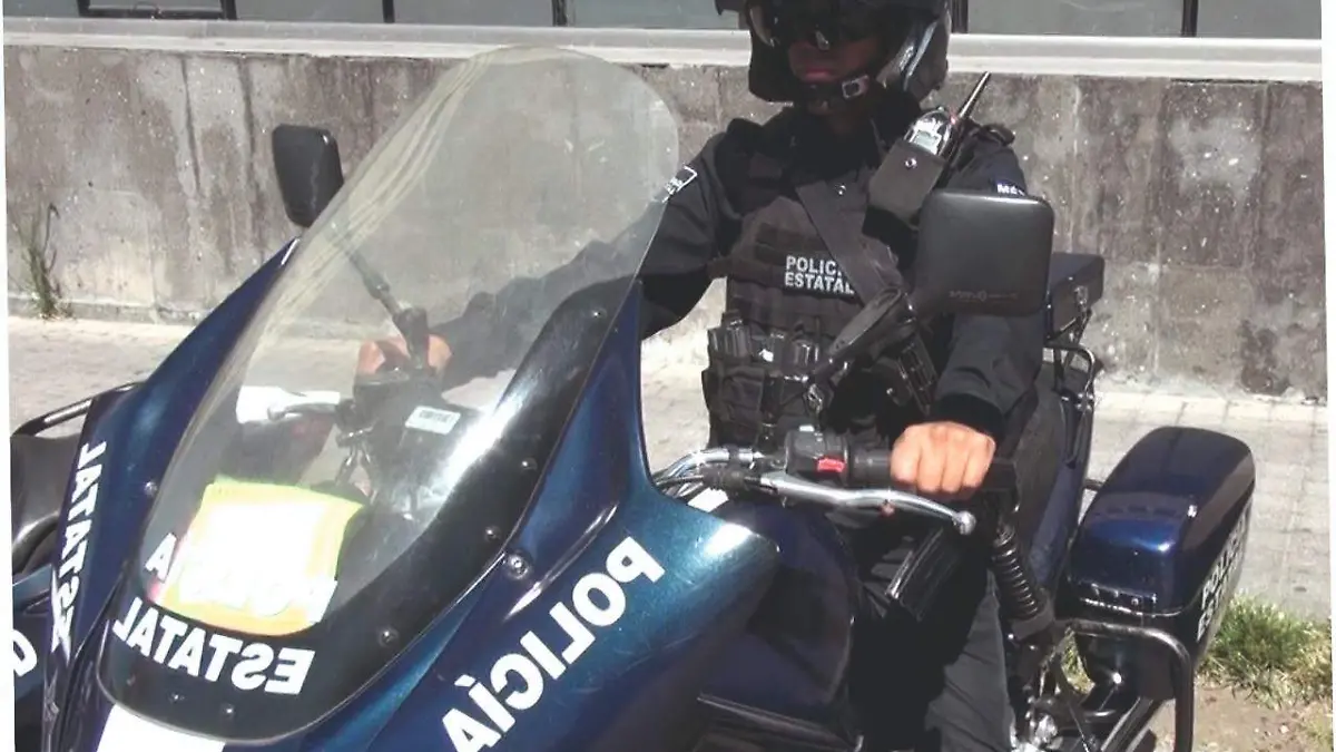 WhatsApp Image 2019-07-08 at 14.51.21