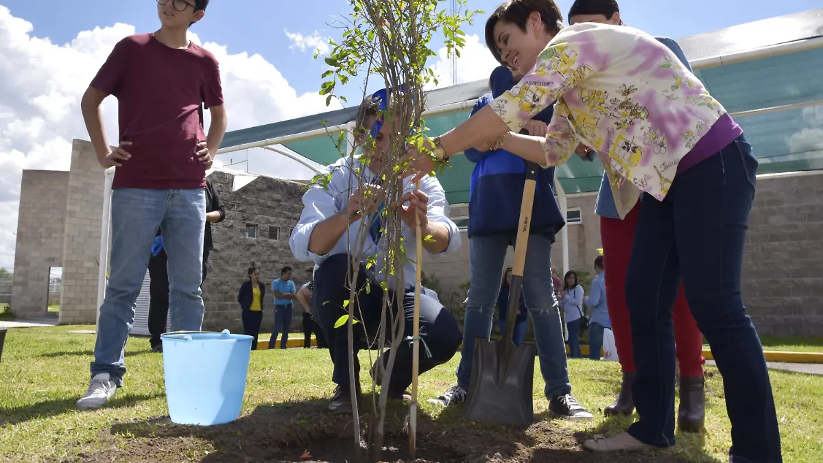 DIF ESTATAL_REFORESTACION 01