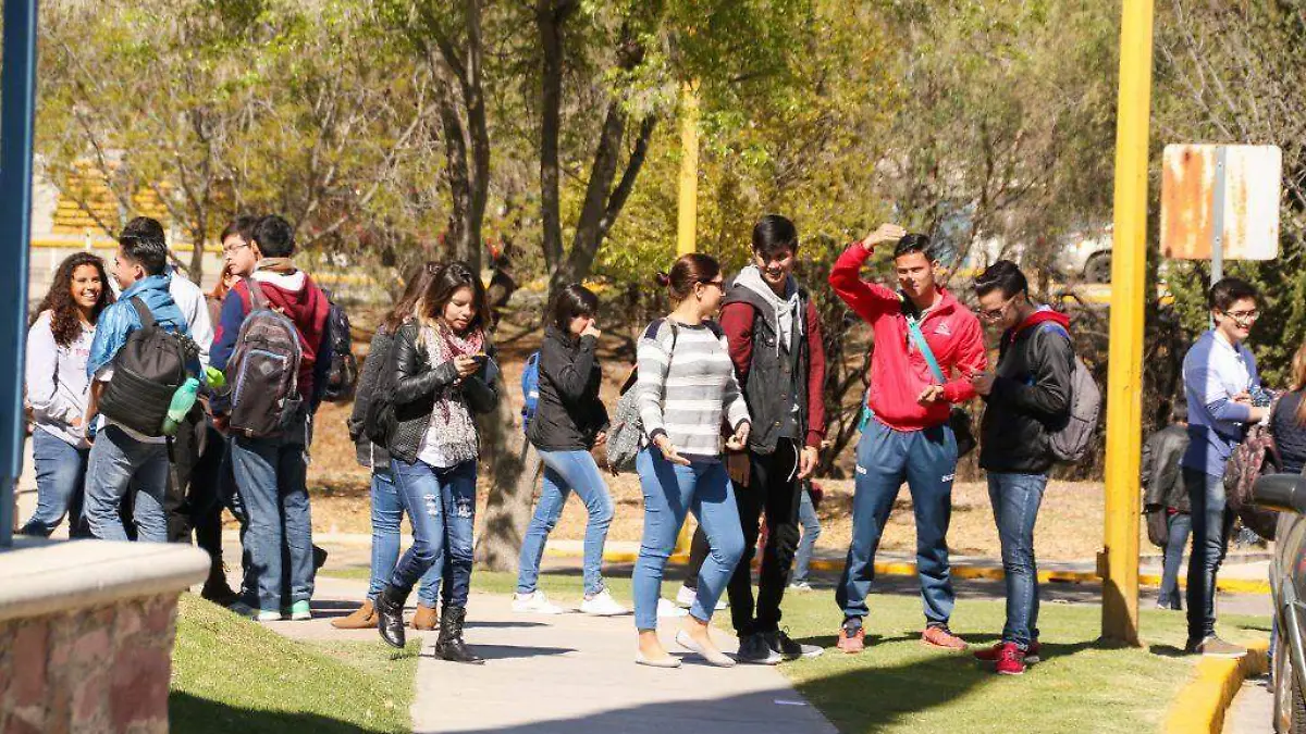 WhatsApp Image 2019-07-20 at 21.41.33