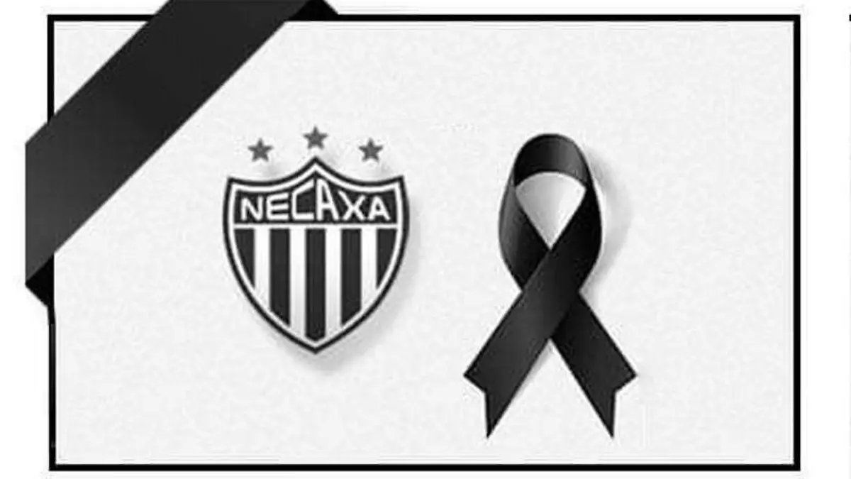 necaxa